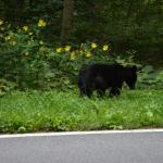 2017OTRA-1_1145 (August 28, 2017)